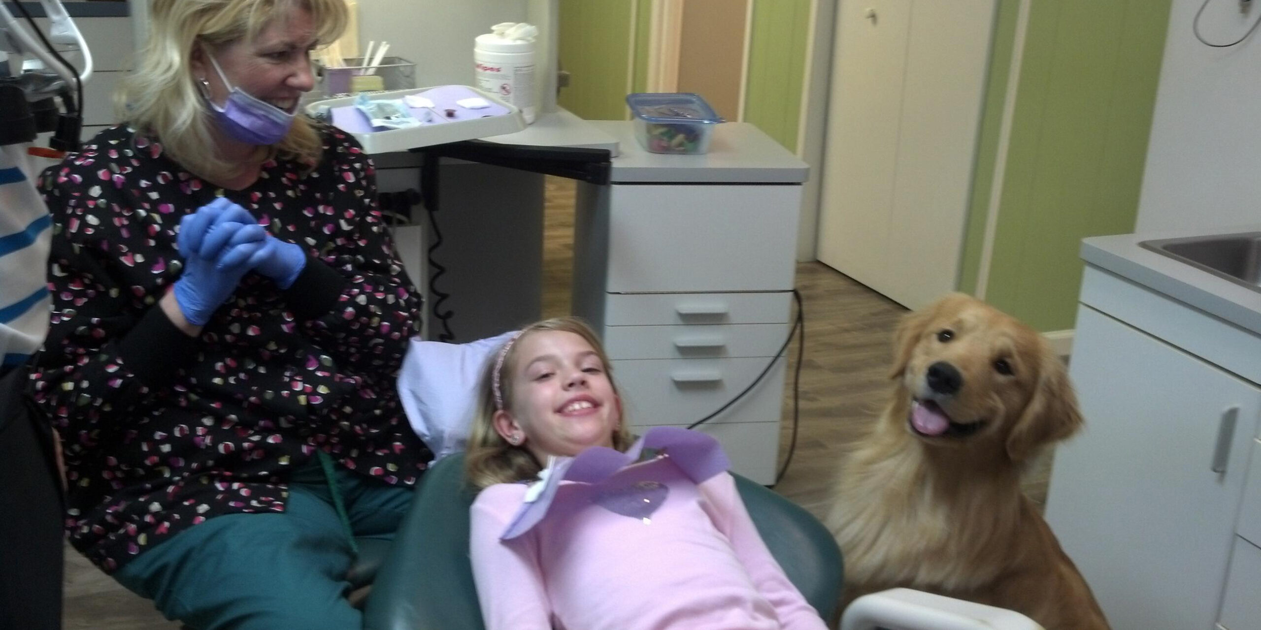 Destin the OG Dental Comfort Dog